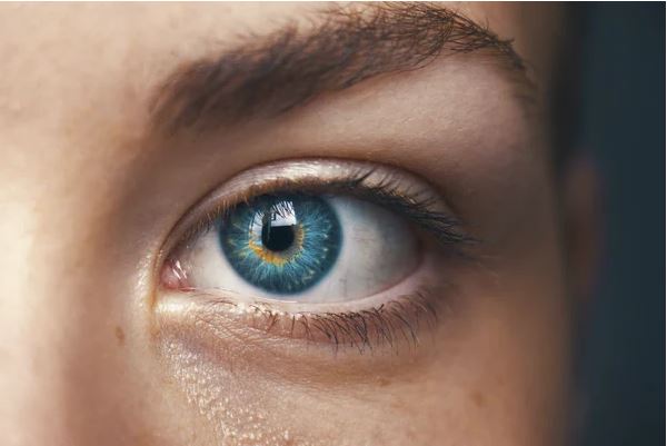 Contact Lenses