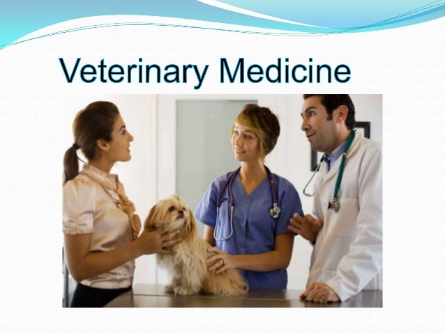 veterinary medicine dissertation topics