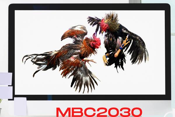 MBC2030