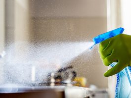 Disinfectant Cleaners for a Germ-Free Home