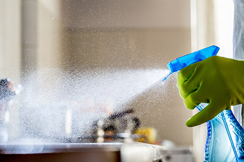 Disinfectant Cleaners for a Germ-Free Home